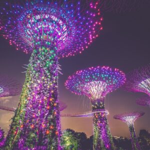 artificial trees 945387 1920