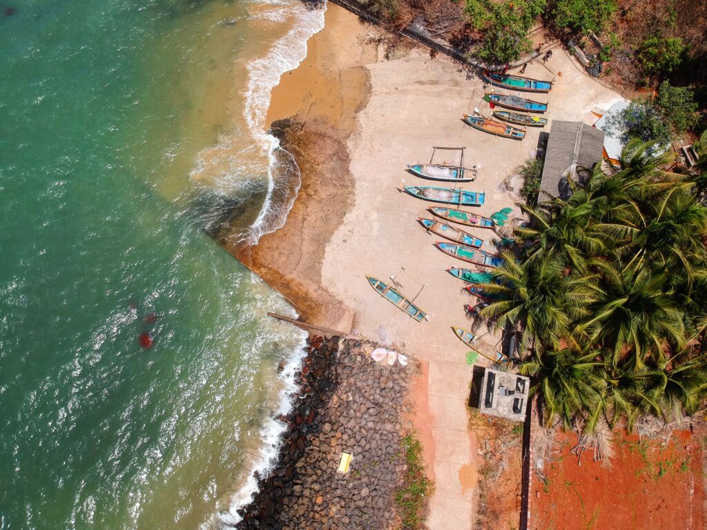 Stunning aerial view of colorful boats along the tropical Malvan beach in India, lined with lush palm trees.