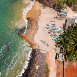Stunning aerial view of colorful boats along the tropical Malvan beach in India, lined with lush palm trees.