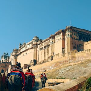 Elephants carrying tourists at historic Amer Fort in Jaipur, India under a clear blue sky.