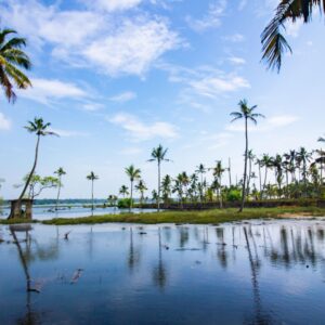 Tranquil tropical scene with palm trees by the calm water, under a vibrant blue sky.